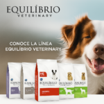 Linea EQUILIBRIO Veterinary