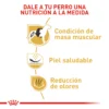 ROYAL CANIN - BULLDOG FRANCES - Image 2