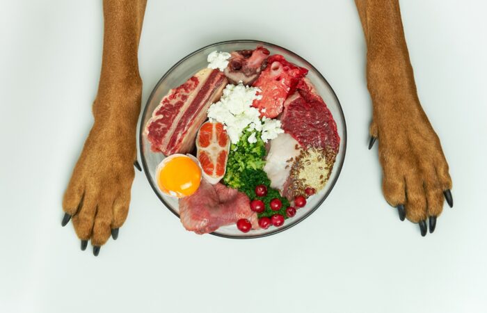 ¿Debes Alimentar a tu Mascota con una Dieta Sin Granos?