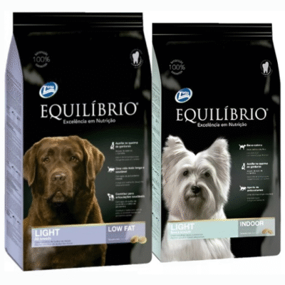 EQUILIBRIO – Light.