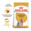 BHN YORKSHIRE ADULTO - Image 3
