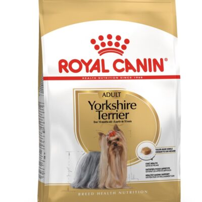 BHN YORKSHIRE ADULTO