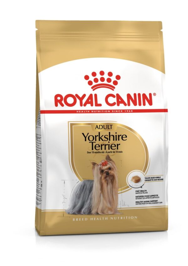 BHN YORKSHIRE ADULTO